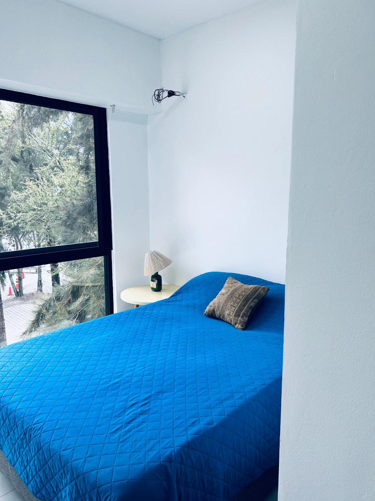 Azul Y Verde Guadalajara! Apartman Kültér fotó